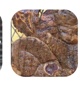 BBQ creation seasoned with CASTORS